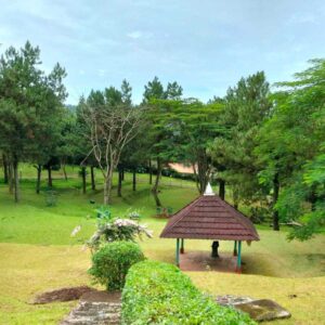 Tiket Camping Megamnedung Camp Area